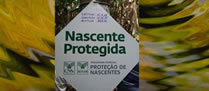 /10172nascentes.jpg