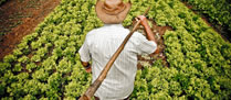 /10232agricultores.jpg