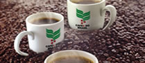 /10453graoscafe_2.jpg