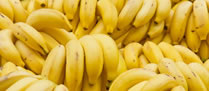/10551banana_2.jpg
