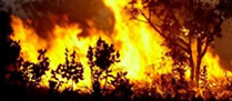 /10588incendio.jpg