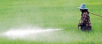 /10674fertilizantes_2.jpg