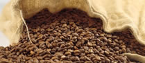 /10760amostracafe_2.jpg