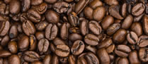 /10807graocafe_2.jpg