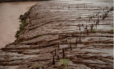 /11231riodoce2.jpg