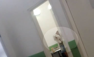 /11471cachorro.jpg