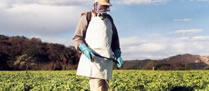 /11588agrotoxico.jpg