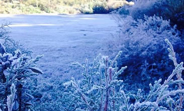 /11809frio.jpg