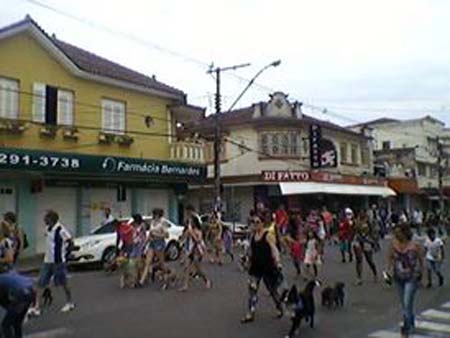 /12370cao-peq.jpg