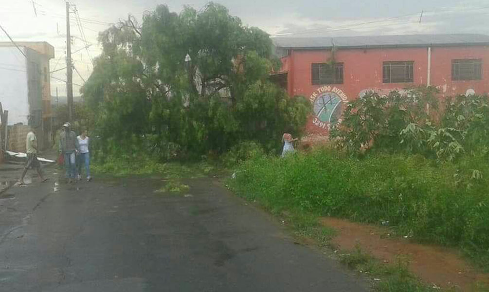 /15255chuva-cp.jpg