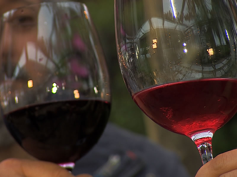 /17718bemestar211218_pessoa-segurando-duas-tacas-de-vinho.jpg