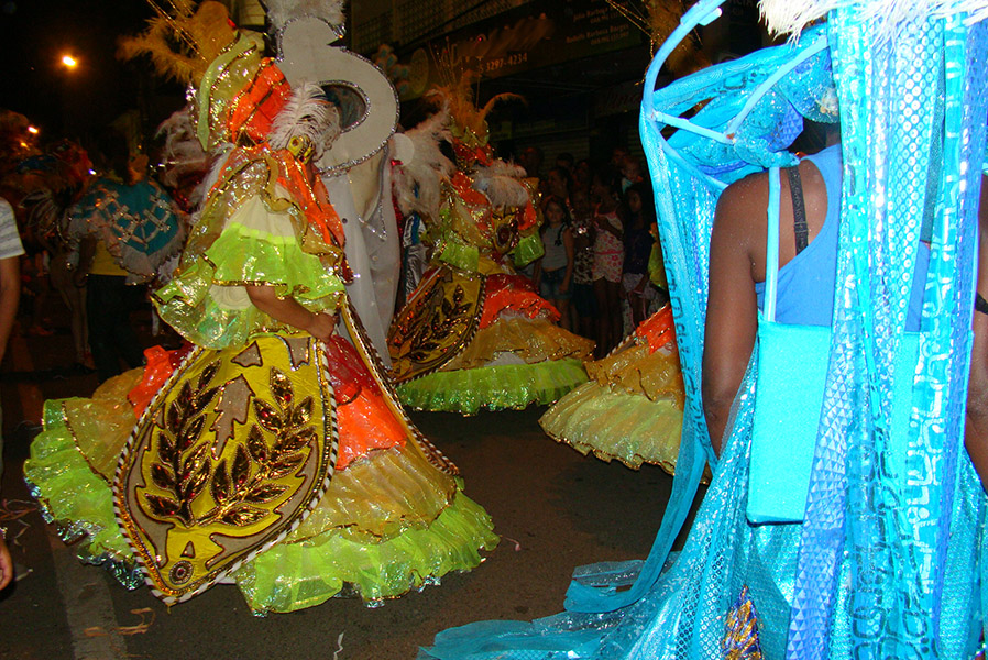 /20115carna-cp.jpg