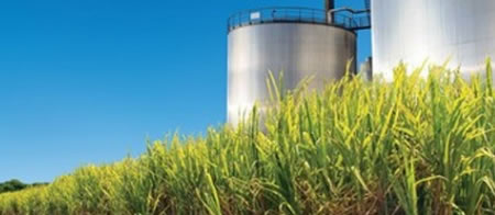/8116agro_etanol.jpg