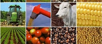 /9478agrofiscalizado_p.jpg