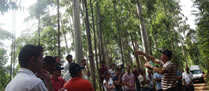 /9692eventoflorestal.jpg