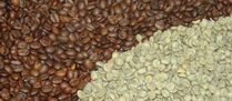 /9859saldocafe.jpg