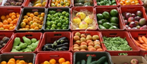 /9884frutas.jpg