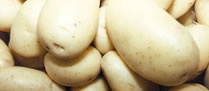 /9953batata.jpg