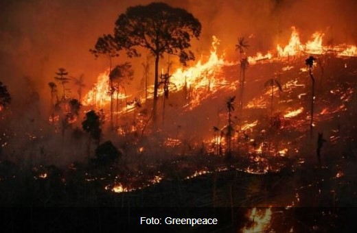 Sistema de monitoramento de incêndios identifica focos de queimada em tempo real