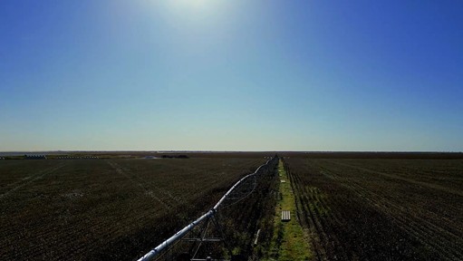 Mesmo com perspectiva positiva para a safra brasileira, clima imprevisível acelera investimentos em irrigação